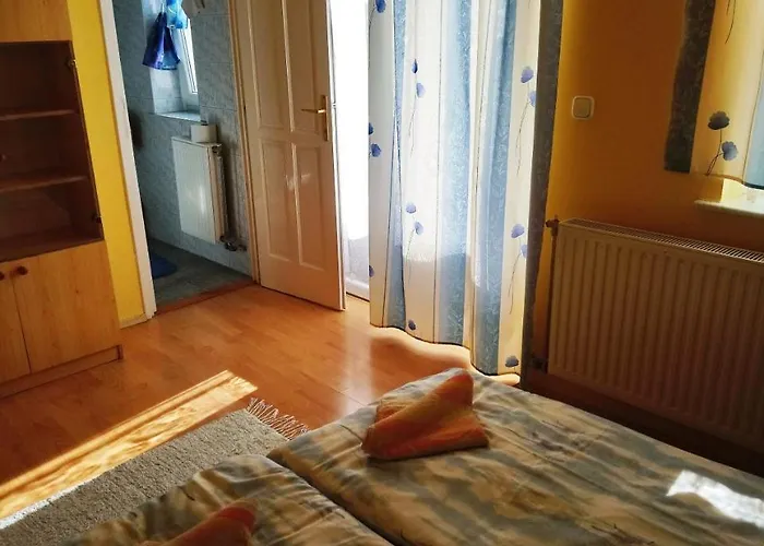 Erika Vendeghaz Pensiune *